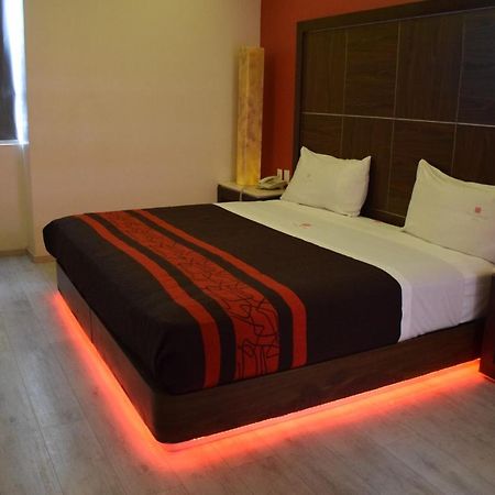 Plutarco Suites Mexico Extérieur photo